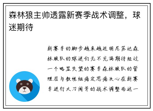 森林狼主帅透露新赛季战术调整，球迷期待